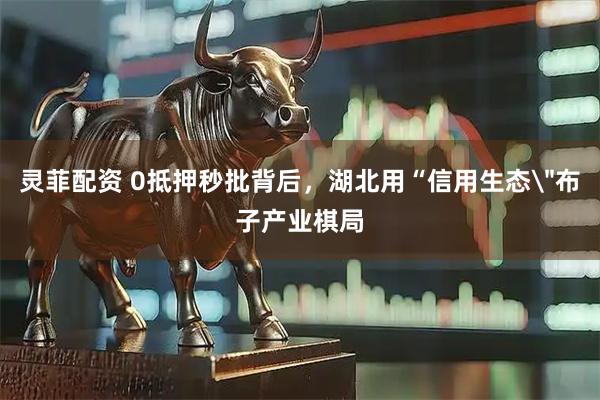 灵菲配资 0抵押秒批背后，湖北用“信用生态＂布子产业棋局
