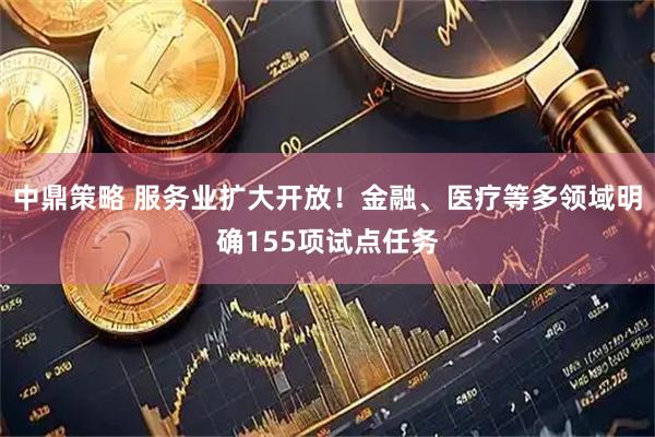 中鼎策略 服务业扩大开放！金融、医疗等多领域明确155项试点任务