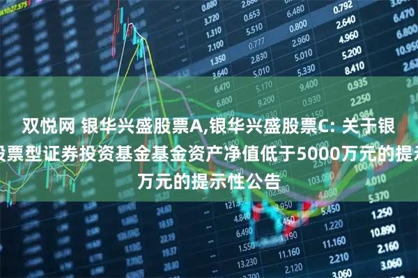 双悦网 银华兴盛股票A,银华兴盛股票C: 关于银华兴盛股票型证券投资基金基金资产净值低于5000万元的提示性公告