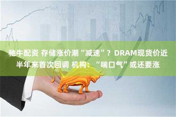 驰牛配资 存储涨价潮“减速”？DRAM现货价近半年来首次回调 机构：“喘口气”或还要涨