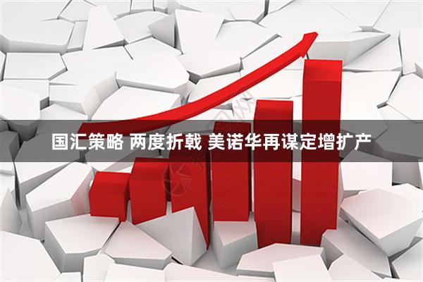 国汇策略 两度折戟 美诺华再谋定增扩产