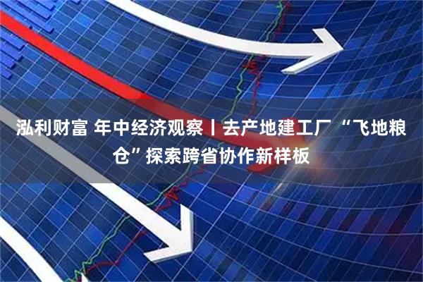 泓利财富 年中经济观察丨去产地建工厂 “飞地粮仓”探索跨省协作新样板