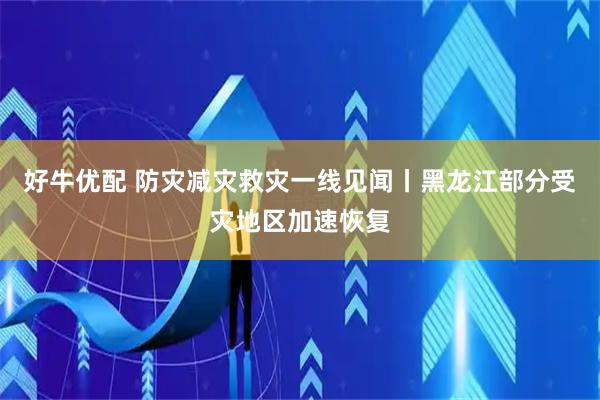好牛优配 防灾减灾救灾一线见闻丨黑龙江部分受灾地区加速恢复
